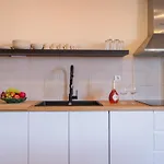 公寓 Host Wise - Fantastic Contemporary Flat W Balcony 波尔图